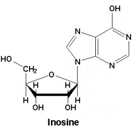 Inozina 500 mg 100 Capsule, Pure Nutrition USA Beneficii Inozina: sursa importanta de energie, reduce oboseala musculara, ajuta 