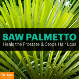 Saw Palmetto 700 mg 100 Capsule, Pure Nutrition USA Beneficii Saw Palmetto: diminueaza hiperplazia benigna de prostata, ameliore