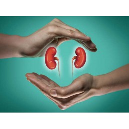 Pure Nutrition Kidney Support (Suport pentru rinichi) - 60 Capsule Beneficii Kidney Support: imbunatateste sanatatea rinichilor,