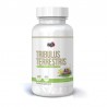 Pure Nutrition USA Tribulus Terrestris 1000 mg 50 Pastile Creste testosteronul, masa musculara, libidoul Beneficii Tribulus: cre