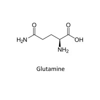 Glutamina: Glutamina joaca un rol important in metabolismul proteinelor