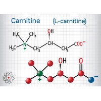 L-Carnitina